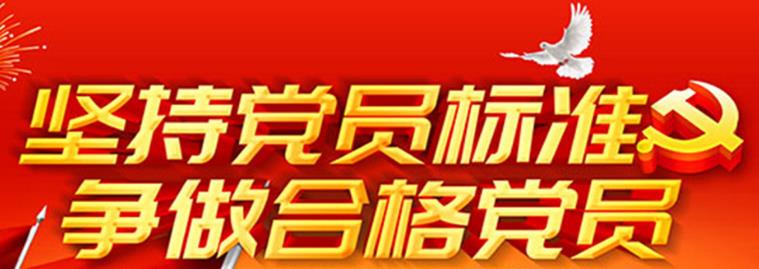 什么是党员标准？