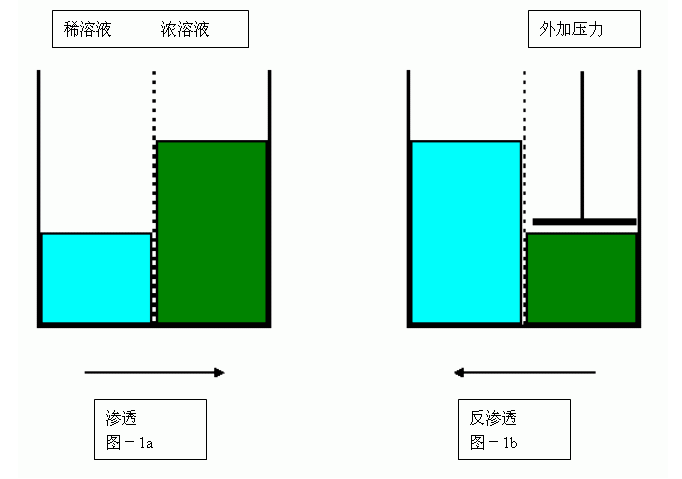 1656559582511659.png image.png