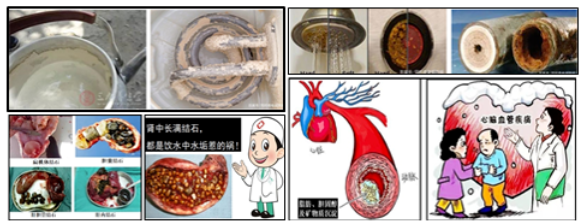 1706763432156061.png image.png